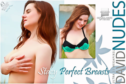 Stacy "Perfect Breasts"