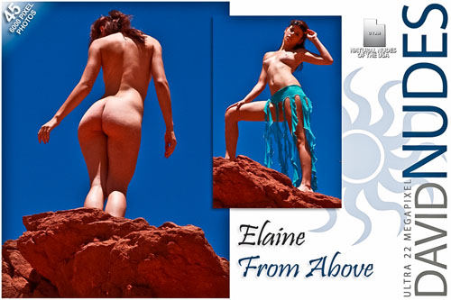 Elaine "From Above"