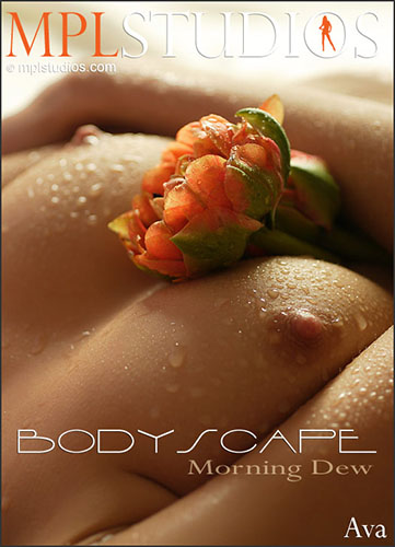 Ava "Bodyscape: Morning Dew"