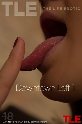 Mary M "Downtown Loft 1"