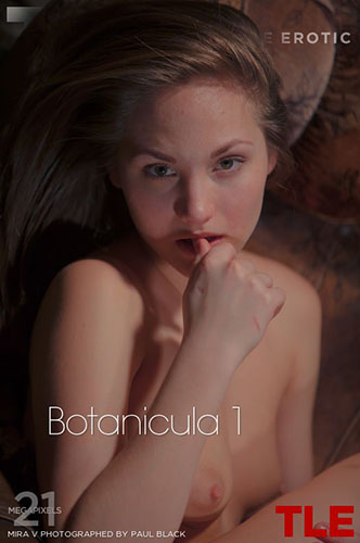 Mira V in "Botanicula 1" by Paul Black
