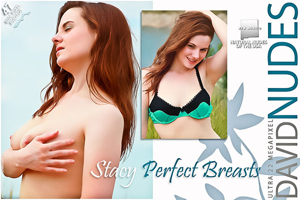 Stacy "Perfect Breasts"
