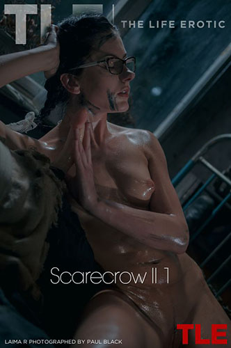 Laima R "Scarecrow II 1"