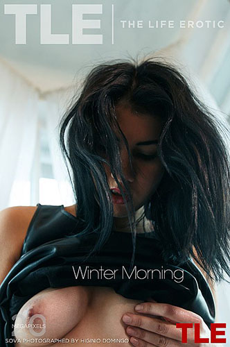 Sova "Winter Morning"
