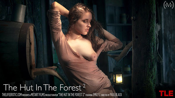 Emily J "The Hut In The Forest 2"