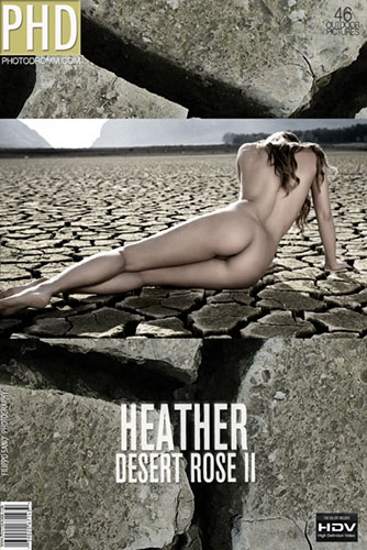 Heather "Desert Rose 2"