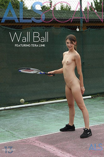Tera Link "Wall Ball"