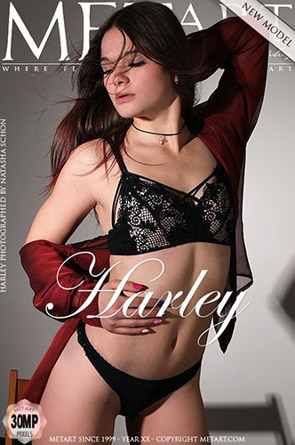 Harley "Presenting"