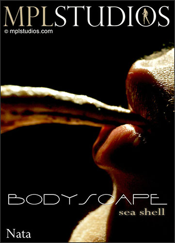 Nata "Bodyscape: Seashell"