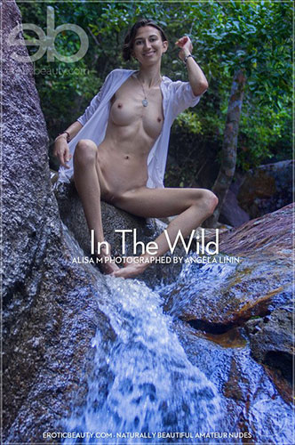 Alisa M "In The Wild"