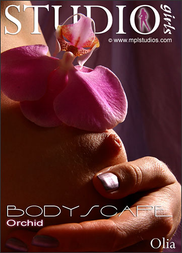 Olia "Bodyscape Orchid"