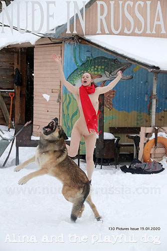 Alina S "The Playful Dog"