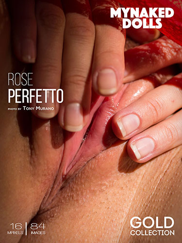 Rose "Perfetto"