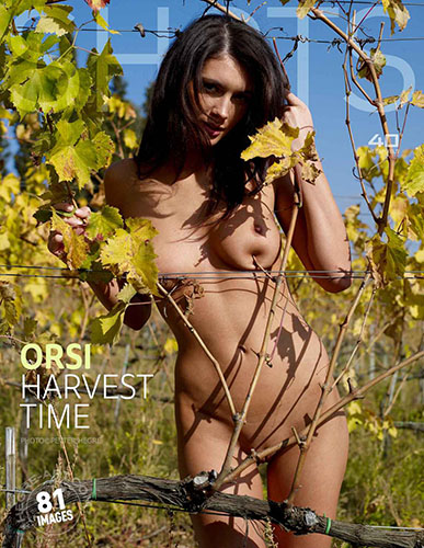Orsi "Harvest Time"