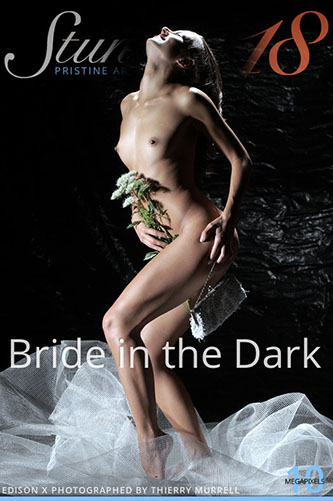 Edison X "Bride in the Dark"