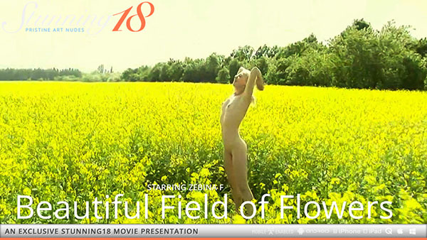 Zebina F "Beautiful Field of Flowers"