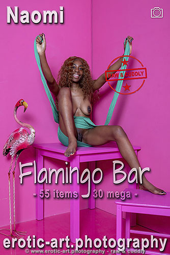 Naomi "Flamingo Bar"