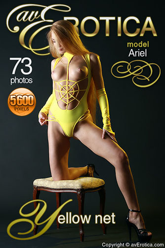 Ariel "Yellow Net"