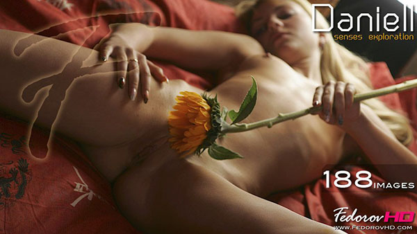 Daniell "Senses Exploration"